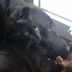 Meet your Posher, Kim